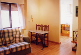 Recently restored apartment in the centre of Granada, beside El Corte Inglés. Living room with sopha-bed, one bedroom with double bed, bathroom and kitchen. Wooden floor, centralized heating and hot . Oasis Real Estate. Houses in Granada, Spain.