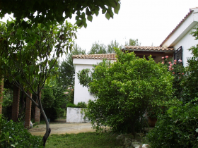 Inmobiliaria Oasis en Granada