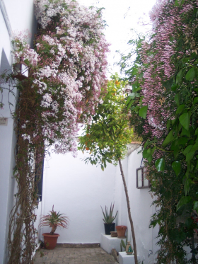 Inmobiliaria Oasis en Granada