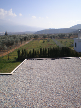 Inmobiliaria Oasis en Granada. Oasis Real Estate. Houses in Granada, Spain.