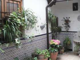 Inmobiliaria Oasis en Granada. Oasis Real Estate. Houses in Granada, Spain.