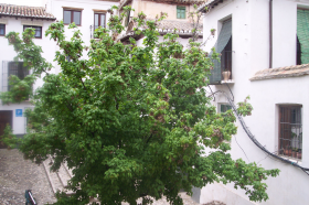 Inmobiliaria Oasis en Granada. Oasis Real Estate. Houses in Granada, Spain.