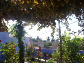 Inmobiliaria Oasis en Granada. Oasis Real Estate. Houses in Granada, Spain.