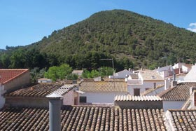 Inmobiliaria Oasis en Granada. Oasis Real Estate. Houses in Granada, Spain.