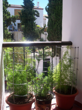 Inmobiliaria Oasis en Granada