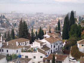 Inmobiliaria Oasis en Granada