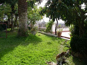 Inmobiliaria Oasis en Granada