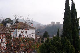 Excelent two floor house in Granada, with Patio and flat roof, recently restored and furnished.. Oasis Real Estate. Houses in Granada, Spain.