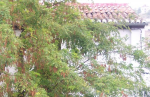 Inmobiliaria Oasis en Granada