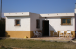 Inmobiliaria Oasis en Granada. Oasis Real Estate. Houses in Granada, Spain.