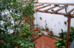Inmobiliaria Oasis en Granada. Oasis Real Estate. Houses in Granada, Spain.