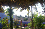Inmobiliaria Oasis en Granada. Oasis Real Estate. Houses in Granada, Spain.