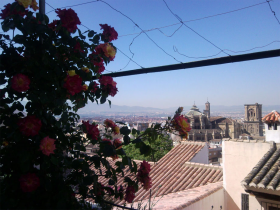 Vistas de la catedral de Granada.