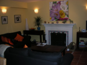 Sal�n con chimenea