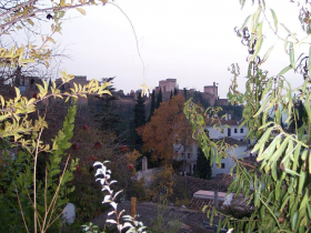 vistas desde el jardín