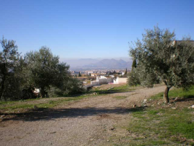 Inmobiliaria Oasis en Granada