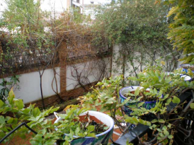 Inmobiliaria Oasis en Granada