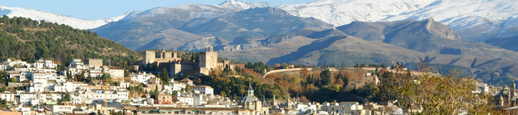 Inmobiliaria Oasis en Granada